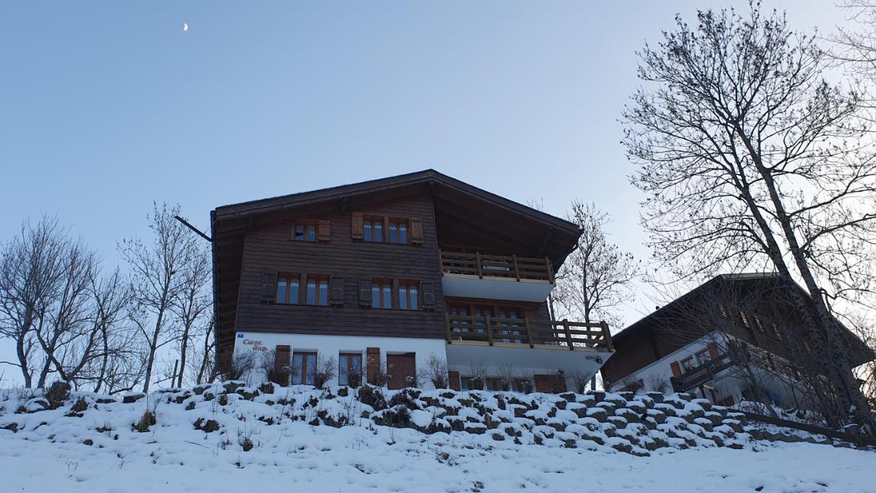 Chalet Carpe Diem Fieschertal Zewnętrze zdjęcie